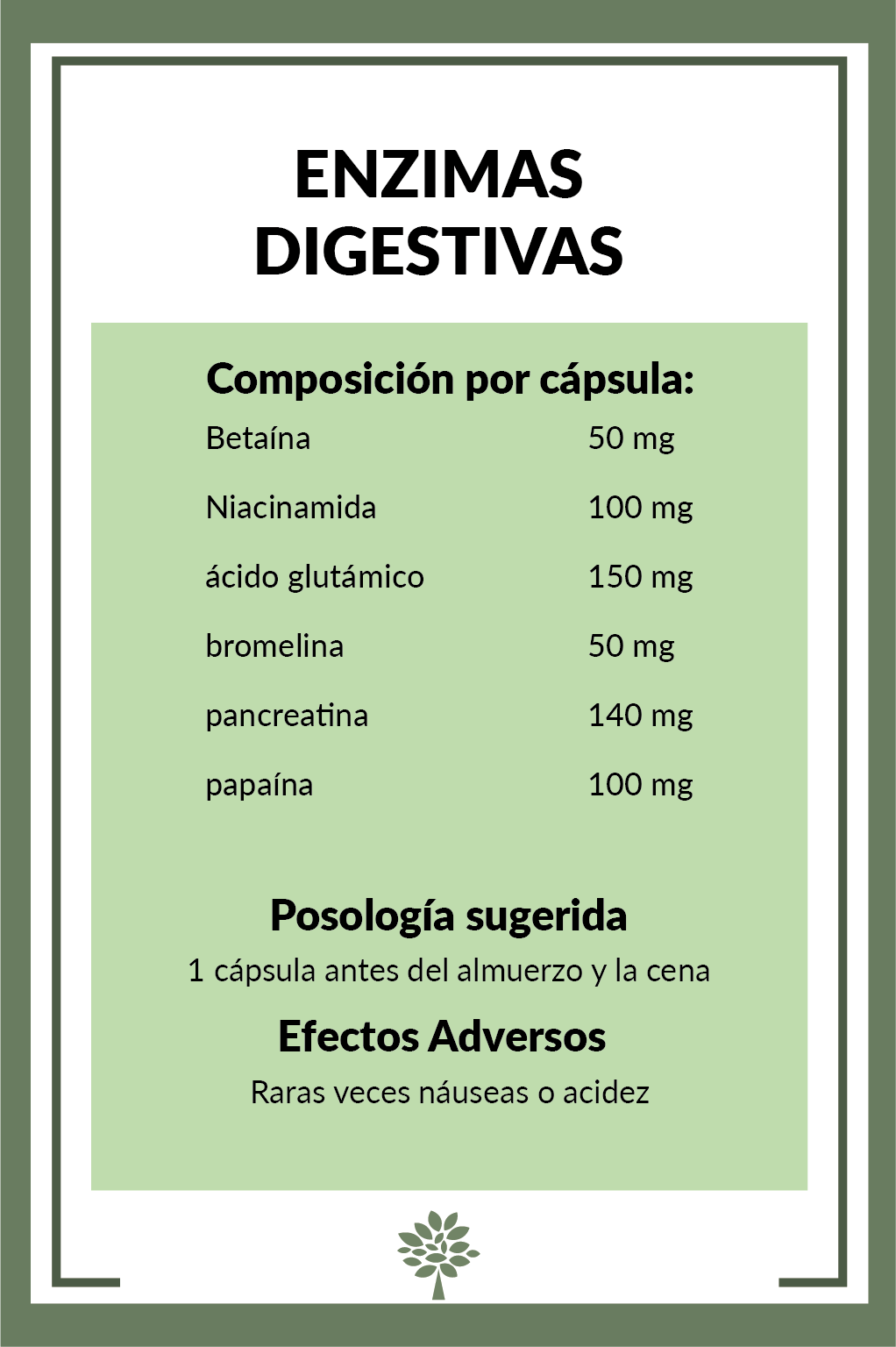 Enzimas digestivas